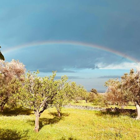 La Perla Di Torre Guaceto Villa Serranova Ngoại thất bức ảnh